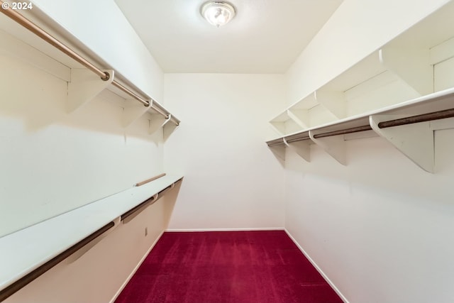 spacious closet with dark colored carpet