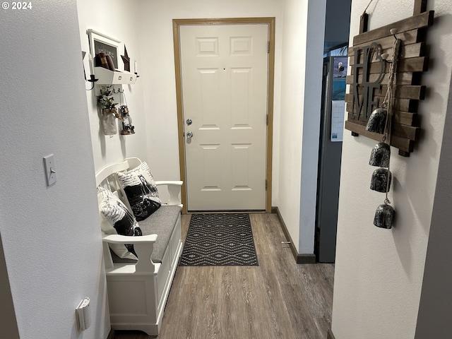 mudroom featuring hardwood / wood-style floors