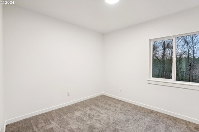 unfurnished room with carpet floors