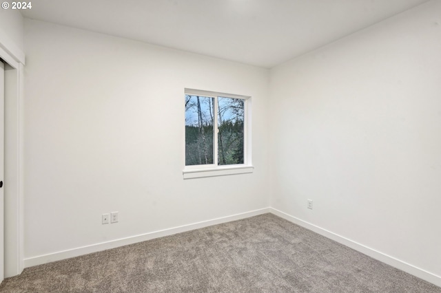 empty room featuring carpet