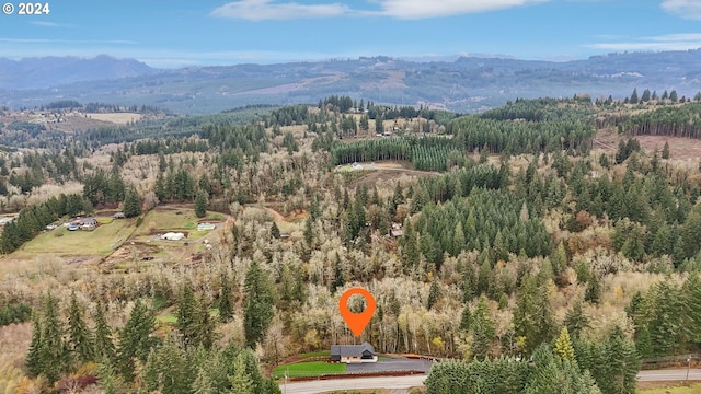 drone / aerial view with a mountain view