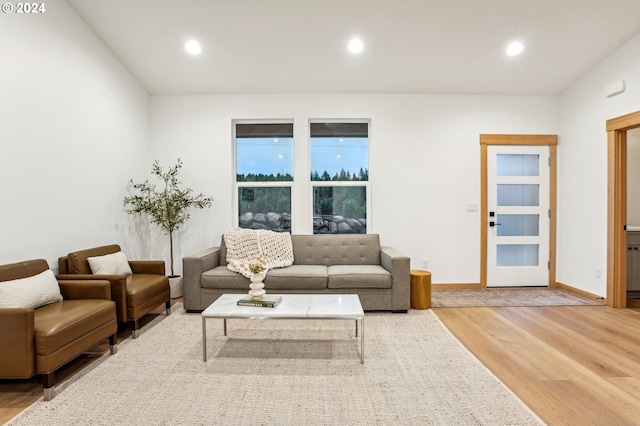 living room with hardwood / wood-style floors