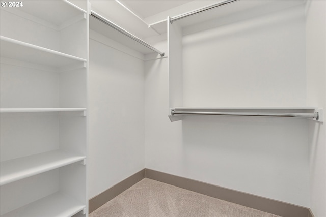 spacious closet with carpet floors