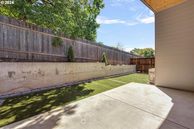 view of yard with a patio