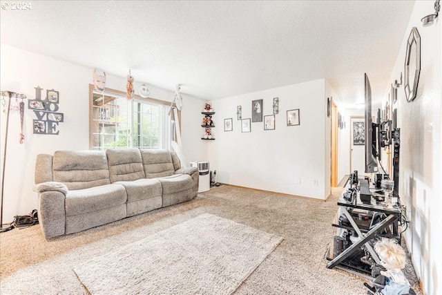 carpeted living room with a textured ceiling