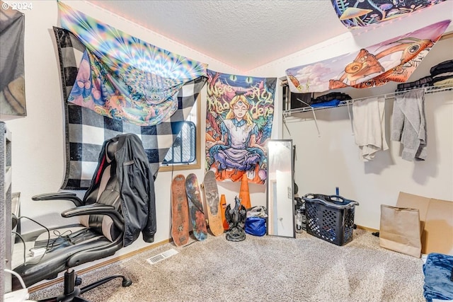 spacious closet with carpet