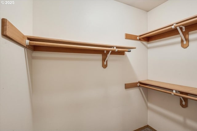 view of walk in closet