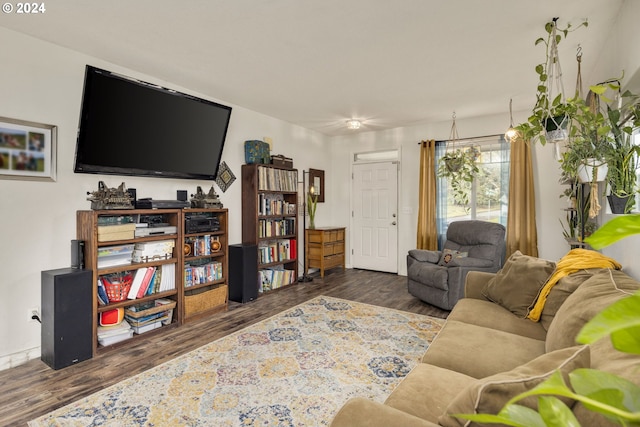 living room featuring dark hardwood / wood-style flooring