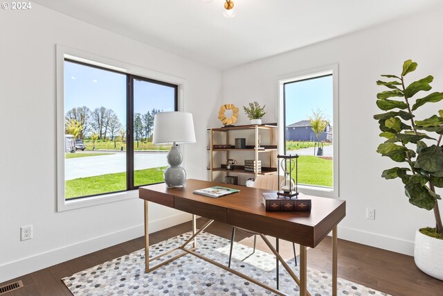 office featuring dark hardwood / wood-style floors and a wealth of natural light