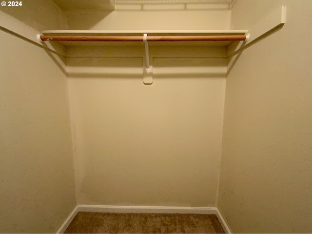 walk in closet with carpet flooring