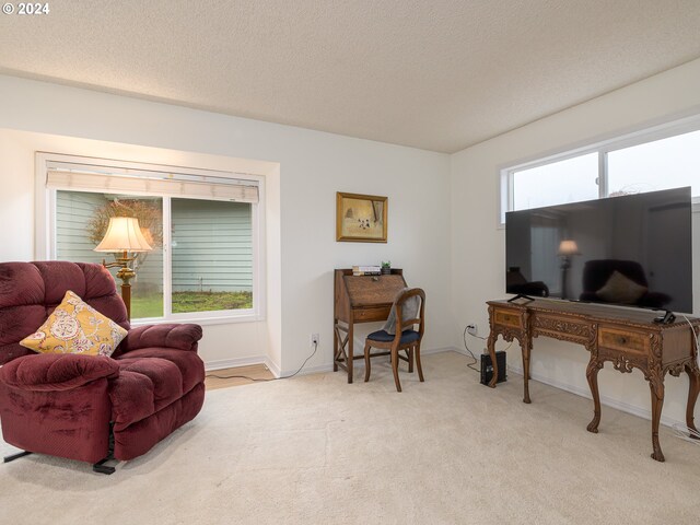 sitting room with a textured ceiling, plenty of natural light, and light carpet