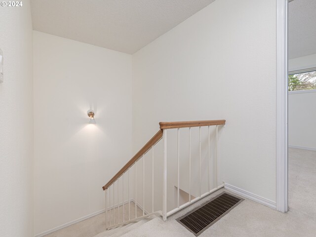 stairway featuring carpet