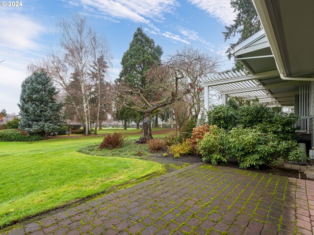 exterior space with a patio and a pergola