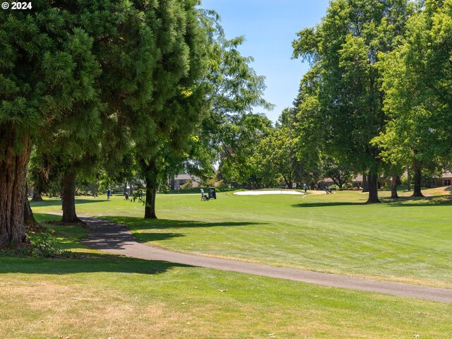 view of community featuring a lawn