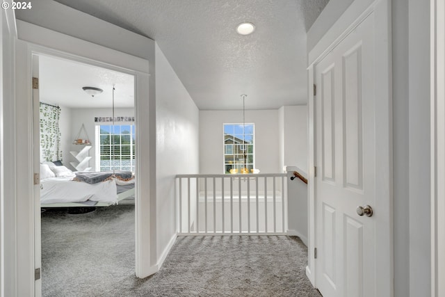 hall featuring a healthy amount of sunlight, carpet flooring, and a textured ceiling