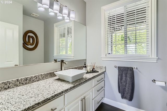 bathroom featuring vanity and a healthy amount of sunlight