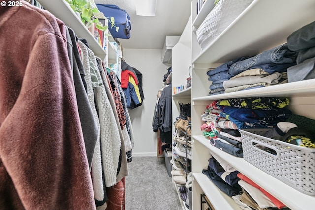 walk in closet with carpet