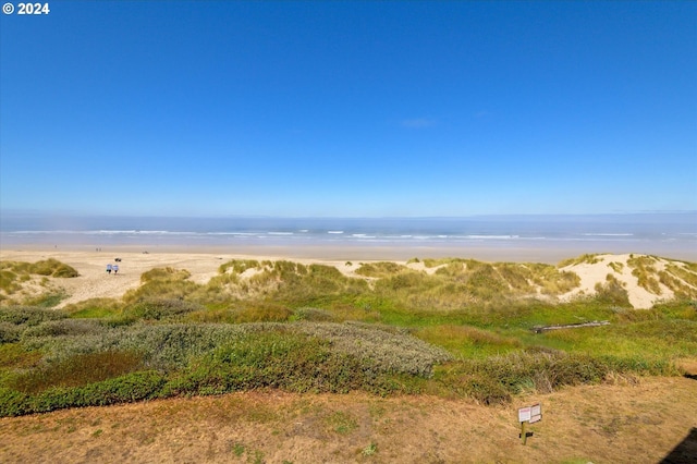 view of local wilderness with a water view and a view of the beach