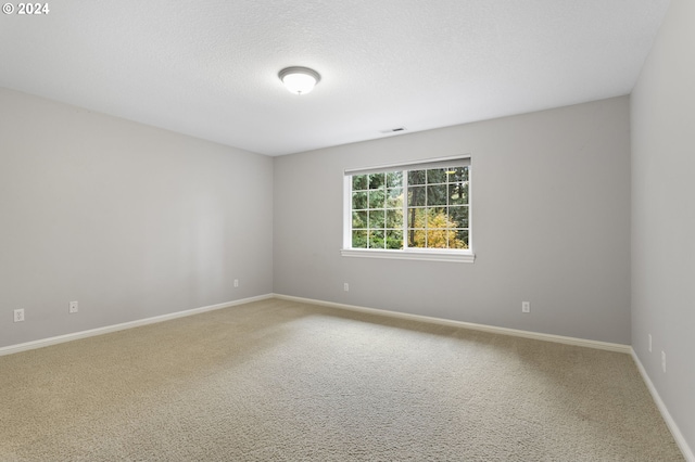 spare room with carpet floors and a textured ceiling