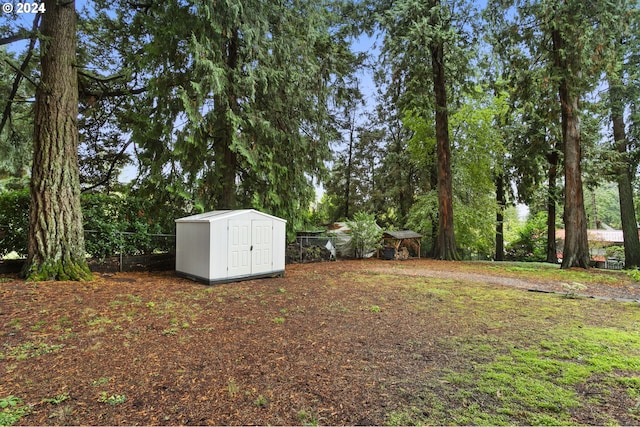 view of yard with a shed