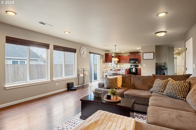 living room featuring sink and dark wood-type flooring