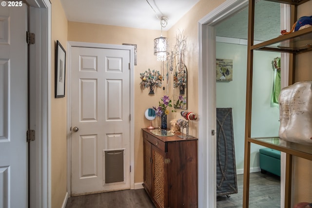 hall featuring dark wood-type flooring