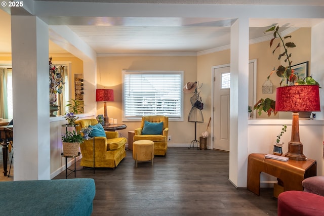 sitting room with dark hardwood / wood-style flooring and ornamental molding