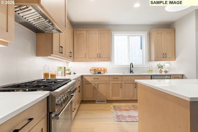 kitchen featuring light countertops, stainless steel appliances, a sink, and range hood