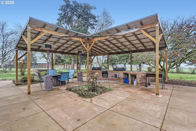 view of patio / terrace with an outdoor kitchen