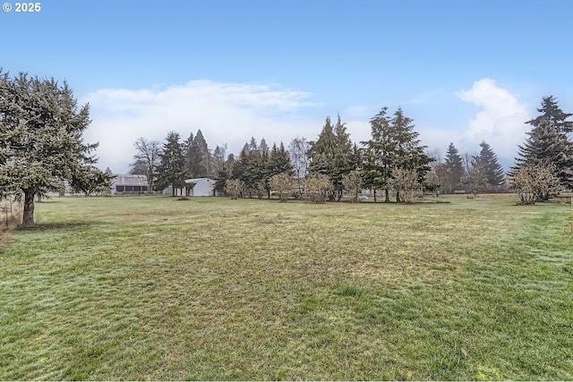 view of yard with a rural view