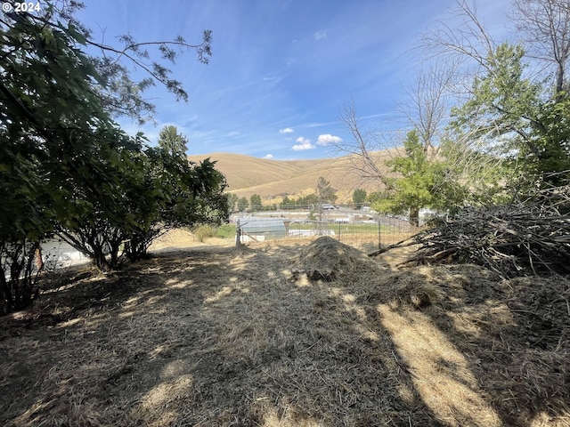 view of yard featuring a mountain view and a rural view