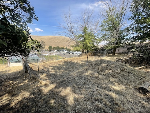 view of yard featuring a rural view and a mountain view