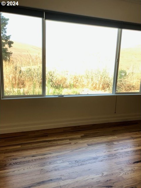 spare room featuring wood-type flooring