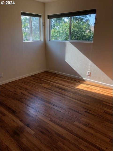 unfurnished room featuring dark wood-type flooring