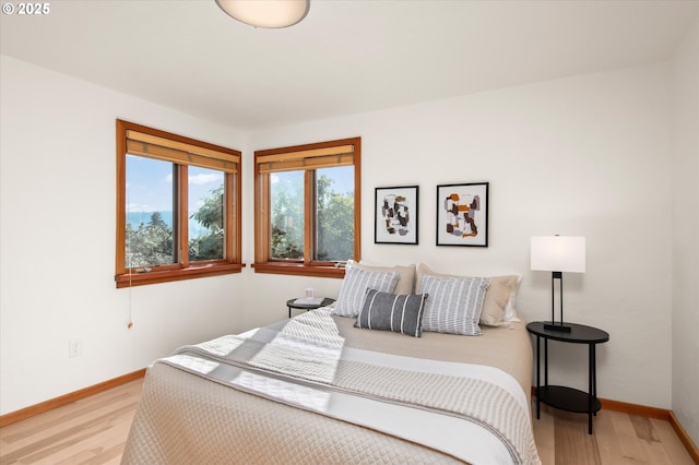 bedroom featuring light hardwood / wood-style flooring