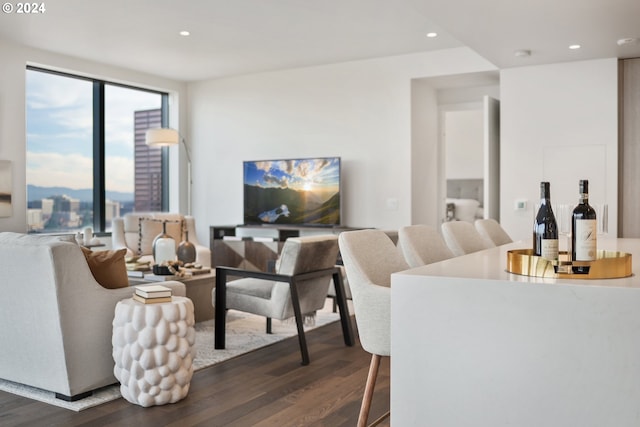 living room with dark wood-type flooring and recessed lighting