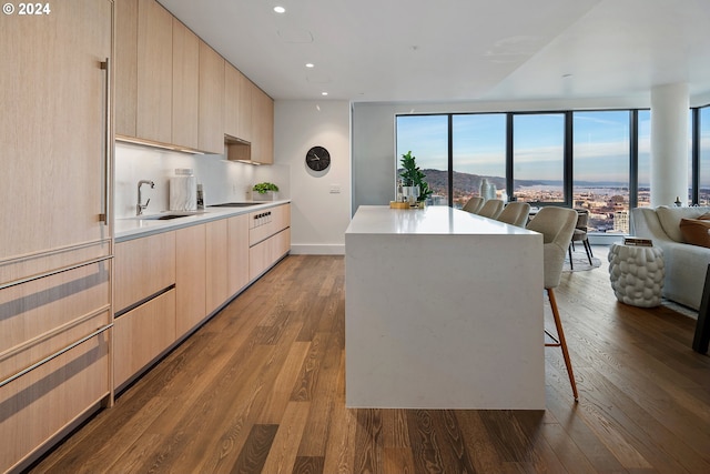 kitchen featuring open floor plan, light brown cabinetry, dark wood-type flooring, and modern cabinets