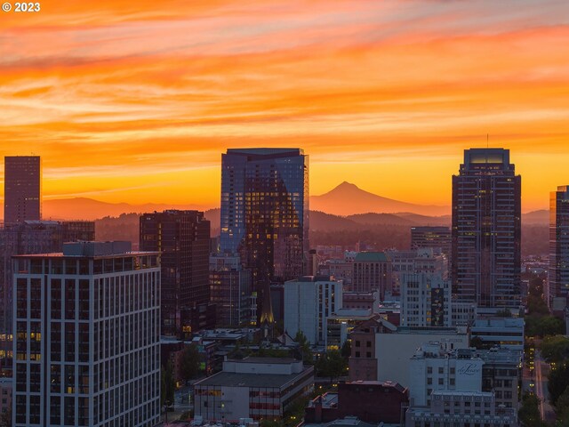 property's view of city with a mountain view