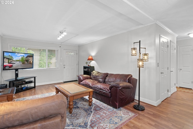 living room with ornamental molding and wood-type flooring