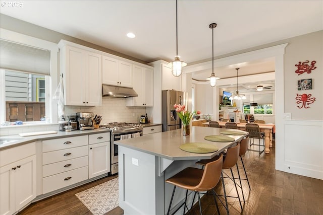 kitchen featuring dark wood finished floors, decorative backsplash, under cabinet range hood, appliances with stainless steel finishes, and white cabinetry