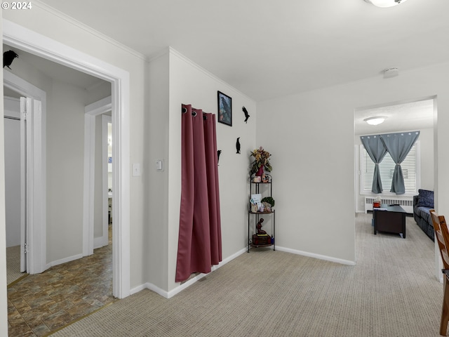 hallway featuring crown molding