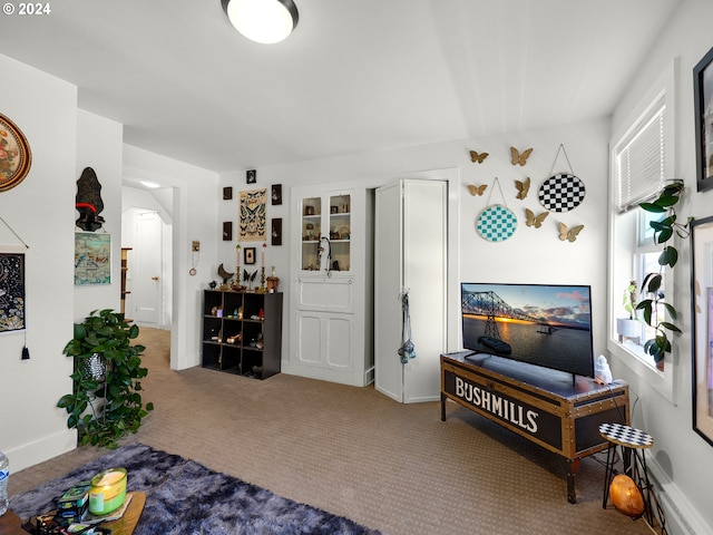 living room with carpet flooring