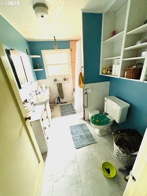 bathroom with toilet and vanity