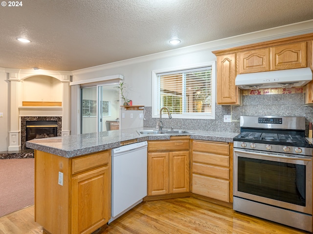 kitchen featuring stainless steel range, light wood-type flooring, dishwasher, and a high end fireplace