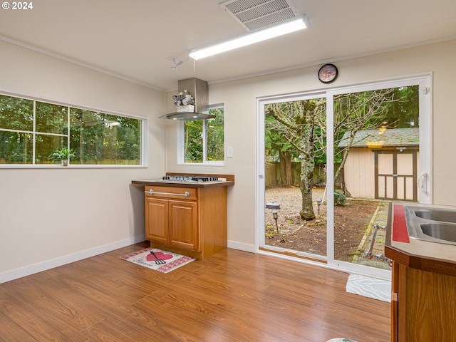 interior space featuring stainless steel gas cooktop, sink, and light wood-type flooring