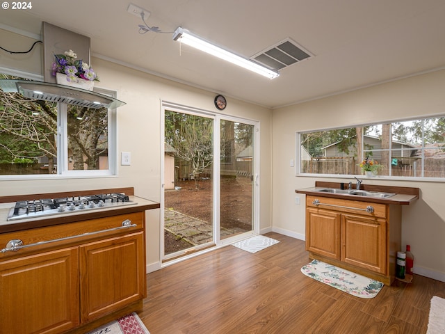 kitchen featuring dark hardwood / wood-style flooring, stainless steel gas cooktop, and sink