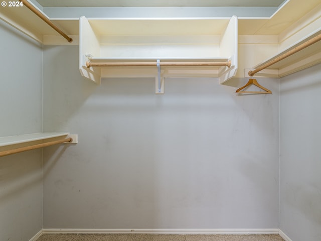 spacious closet featuring carpet flooring