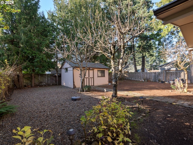 view of yard featuring a shed