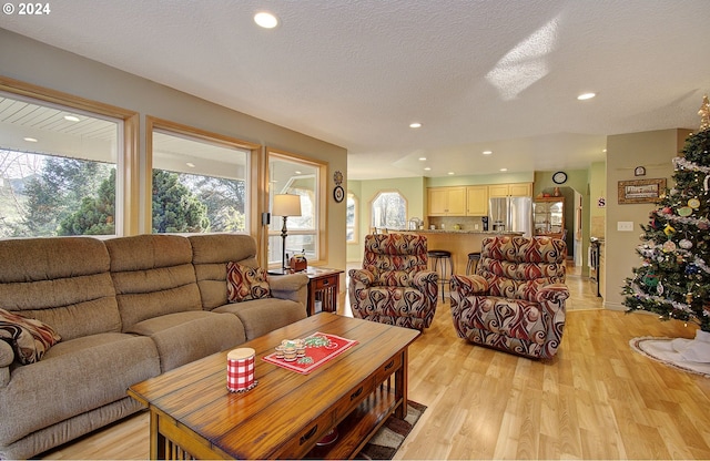 living room with a textured ceiling and light hardwood / wood-style floors