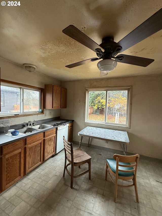 kitchen featuring a textured ceiling, dishwasher, sink, and a wealth of natural light